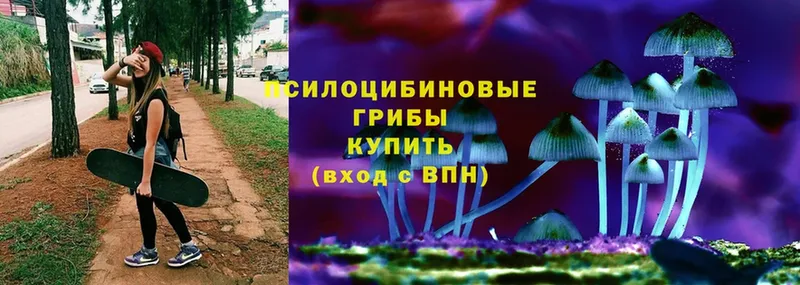 Галлюциногенные грибы Magic Shrooms  Карасук 